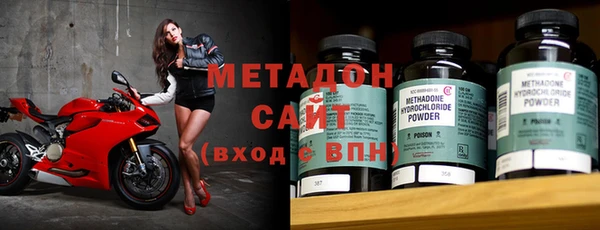 индика Бородино