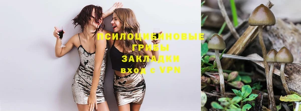 ПСИЛОЦИБИНОВЫЕ ГРИБЫ Верхнеуральск