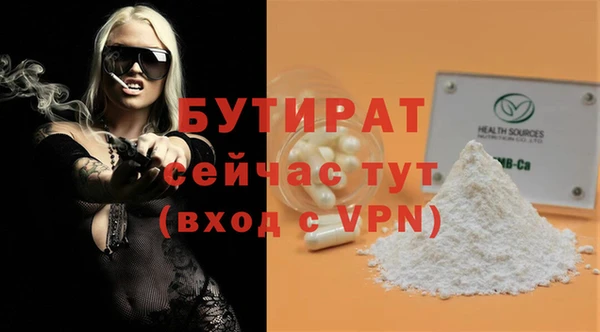 индика Бородино