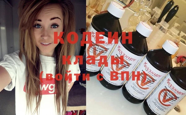индика Бородино