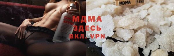 индика Бородино
