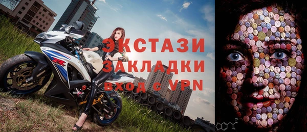 индика Бородино