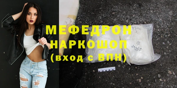 индика Бородино