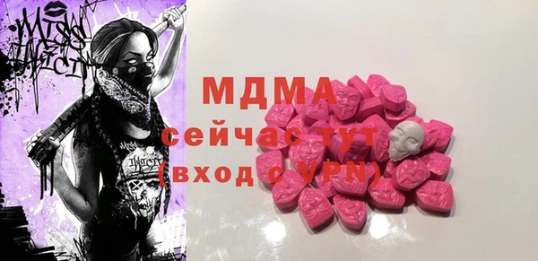 индика Бородино