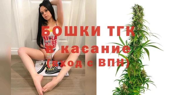 индика Бородино