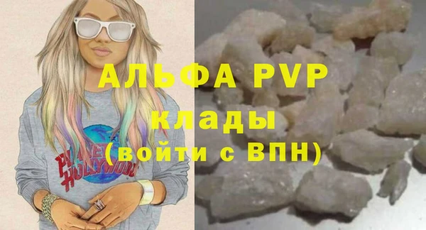 индика Бородино