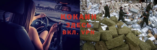 индика Бородино