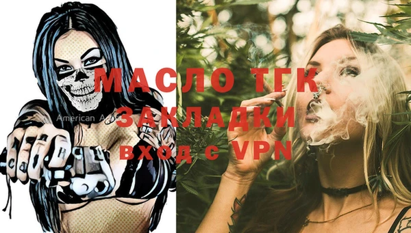 индика Бородино