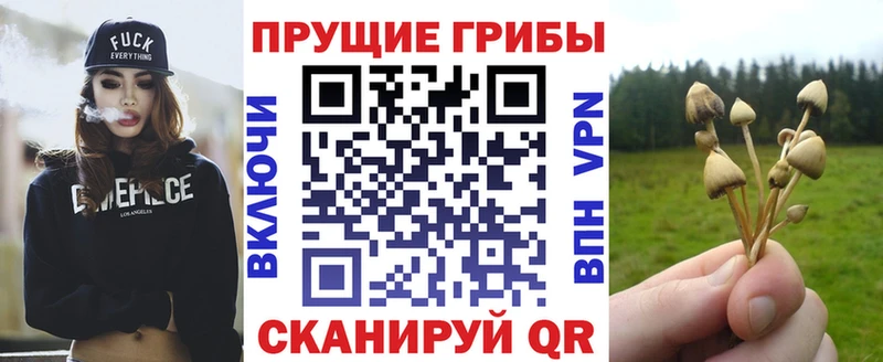Галлюциногенные грибы Psilocybine cubensis  Горняк 
