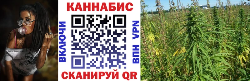 Конопля OG Kush Горняк
