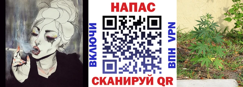 Шишки марихуана семена  Горняк 